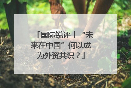 国际锐评丨“未来在中国”何以成为外资共识？