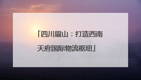 四川眉山：打造西南天府国际物流枢纽