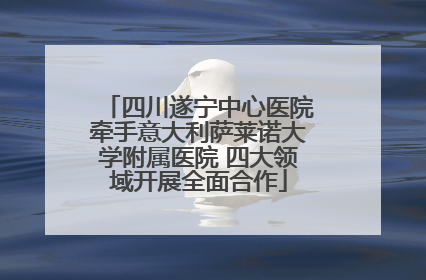 四川遂宁中心医院牵手意大利萨莱诺大学附属医院 四大领域开展全面合作