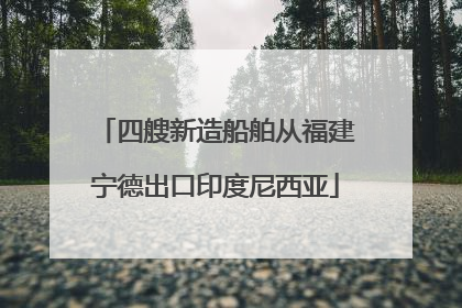四艘新造船舶从福建宁德出口印度尼西亚