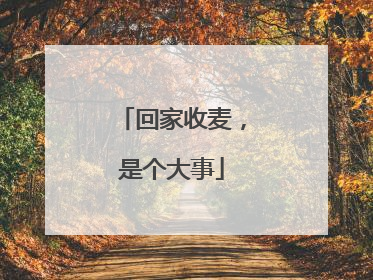 回家收麦，是个大事