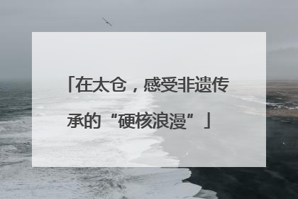 在太仓，感受非遗传承的“硬核浪漫”