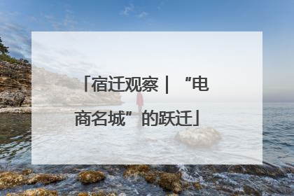 宿迁观察｜“电商名城”的跃迁