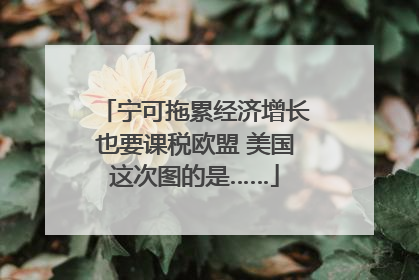 宁可拖累经济增长也要课税欧盟 美国这次图的是……