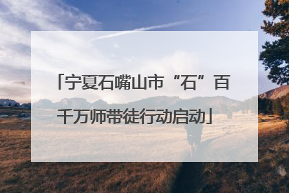宁夏石嘴山市“石”百千万师带徒行动启动