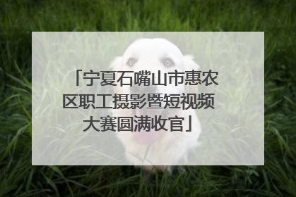 宁夏石嘴山市惠农区职工摄影暨短视频大赛圆满收官
