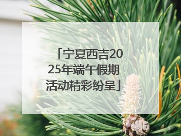 宁夏西吉2025年端午假期活动精彩纷呈