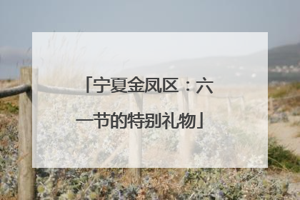 宁夏金凤区：六一节的特别礼物