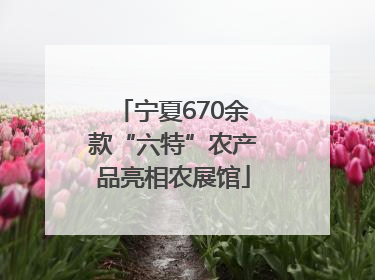 宁夏670余款“六特”农产品亮相农展馆