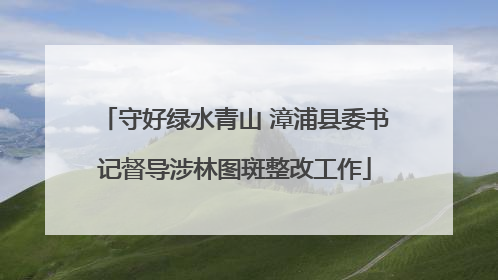 守好绿水青山 漳浦县委书记督导涉林图斑整改工作