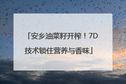 安乡油菜籽开榨！7D技术锁住营养与香味