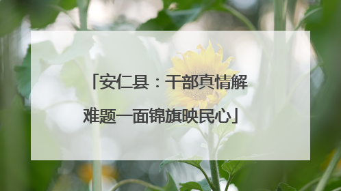 安仁县：干部真情解难题一面锦旗映民心