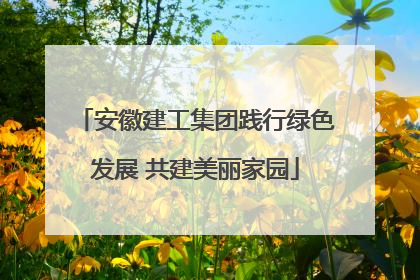 安徽建工集团践行绿色发展 共建美丽家园