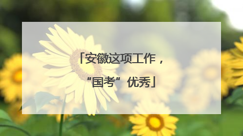 安徽这项工作，“国考”优秀