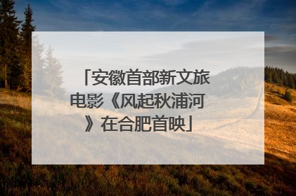 安徽首部新文旅电影《风起秋浦河》在合肥首映
