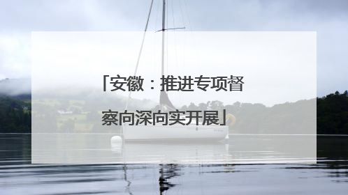 安徽：推进专项督察向深向实开展