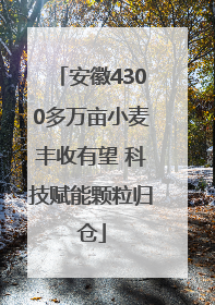 安徽4300多万亩小麦丰收有望 科技赋能颗粒归仓