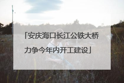 安庆海口长江公铁大桥力争今年内开工建设