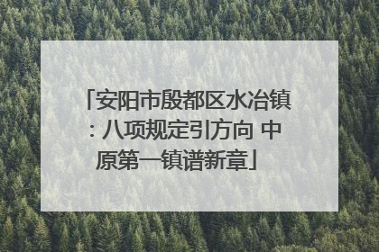 安阳市殷都区水冶镇：八项规定引方向 中原第一镇谱新章
