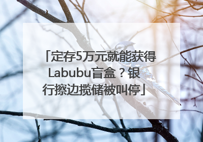 定存5万元就能获得Labubu盲盒？银行擦边揽储被叫停