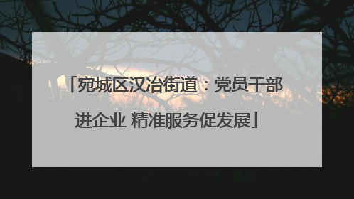 宛城区汉冶街道：党员干部进企业 精准服务促发展