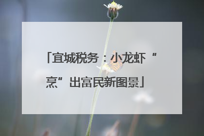 宜城税务：小龙虾“烹”出富民新图景