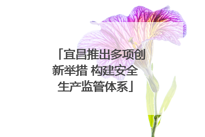 宜昌推出多项创新举措 构建安全生产监管体系