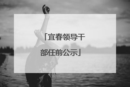 宜春领导干部任前公示
