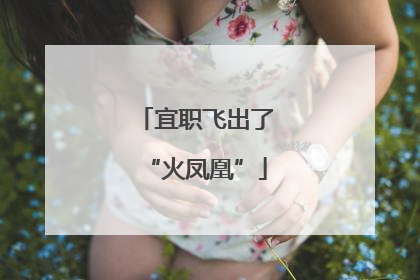 宜职飞出了“火凤凰”