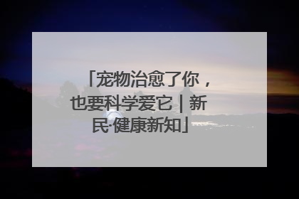 宠物治愈了你，也要科学爱它｜新民·健康新知