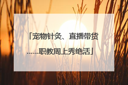 宠物针灸、直播带货……职教周上秀绝活