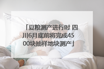 夏粮测产进行时 四川6月底前将完成4500块抽样地块测产