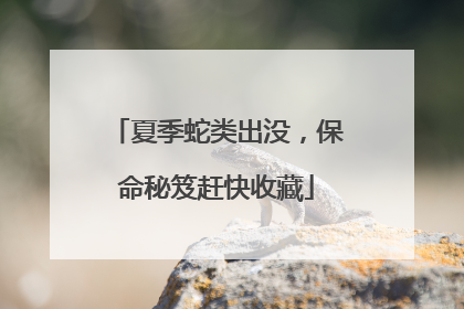 夏季蛇类出没，保命秘笈赶快收藏
