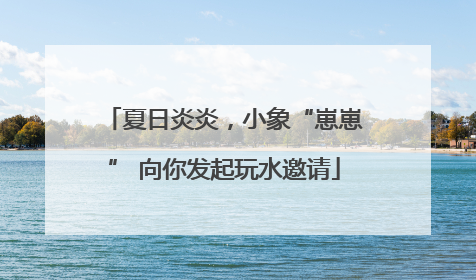 夏日炎炎，小象“崽崽” 向你发起玩水邀请