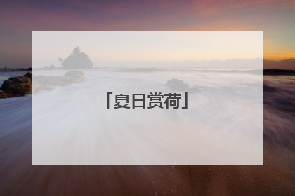 夏日赏荷