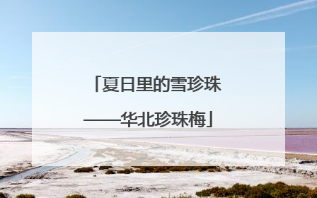 夏日里的雪珍珠——华北珍珠梅
