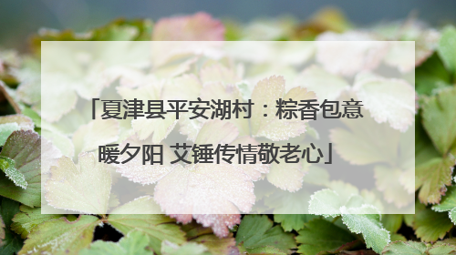 夏津县平安湖村：粽香包意暖夕阳 艾锤传情敬老心