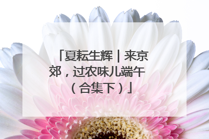 夏耘生辉｜来京郊，过农味儿端午（合集下）
