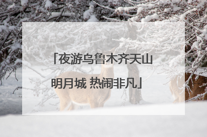夜游乌鲁木齐天山明月城 热闹非凡