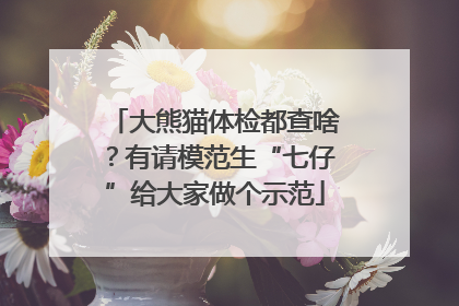 大熊猫体检都查啥？有请模范生“七仔”给大家做个示范