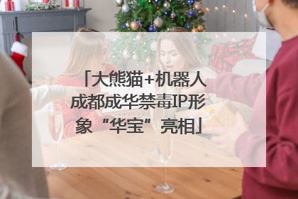 大熊猫+机器人 成都成华禁毒IP形象“华宝”亮相