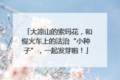 大凉山的索玛花，和慢火车上的法治“小种子”，一起发芽啦！