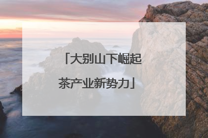 大别山下崛起茶产业新势力