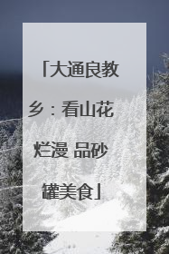 大通良教乡：看山花烂漫 品砂罐美食