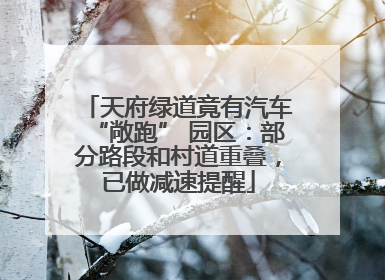天府绿道竟有汽车“敞跑” 园区：部分路段和村道重叠，已做减速提醒