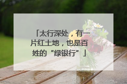 太行深处，有一片红土地，也是百姓的“绿银行”