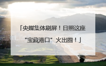 央媒集体刷屏！日照这座“宝藏港口”火出圈！