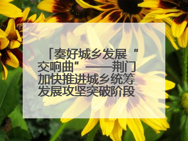 奏好城乡发展“交响曲”——荆门加快推进城乡统筹发展攻坚突破阶段性综述