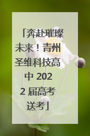 奔赴璀璨未来！青州圣维科技高中 2022 届高考送考