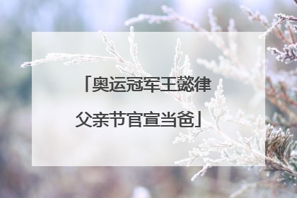 奥运冠军王懿律父亲节官宣当爸